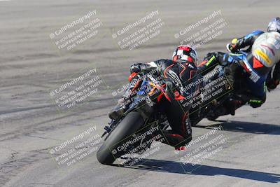 media/Feb-04-2024-SoCal Trackdays (Sun) [[91d6515b1d]]/4-Bowl Backside (11am)/